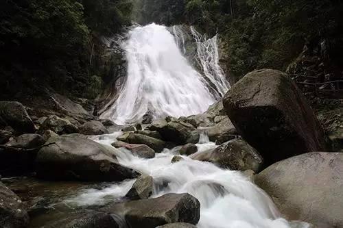 民警深夜上山为群众找牛